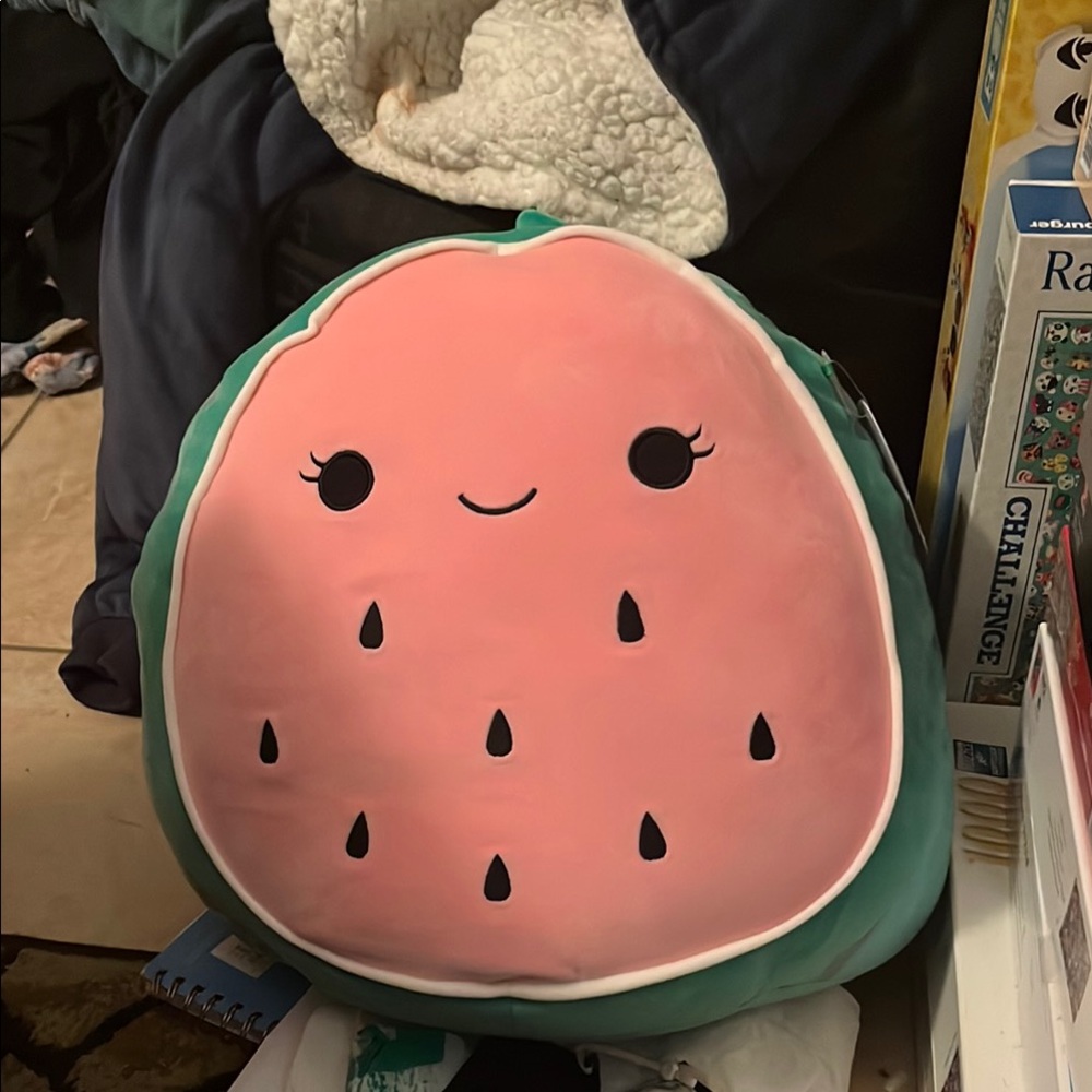 Wanda watermelon squishmallow